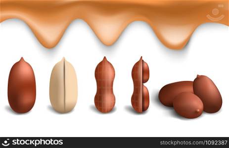 Peanut icon set. Realistic set of peanut vector icons for web design. Peanut icon set, realistic style