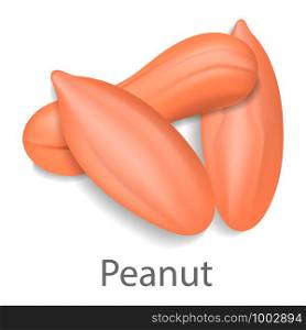 Peanut mockup. Realistic illustration of peanut vector mockup for web design isolated on white background. Peanut mockup, realistic style