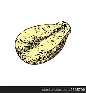 peanut nut food raw hand drawn. butter vector, spread cream, snack dried, group texture, organic shell peanut nut food raw vector sketch. isolated color illustration. peanut nut food raw sketch hand drawn vector