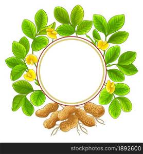 peanut plant circle vector frame on white background. peanut circle vector frame on white background