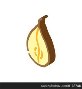 pear dried fruit isometric icon vector. pear dried fruit sign. isolated symbol illustration. pear dried fruit isometric icon vector illustration