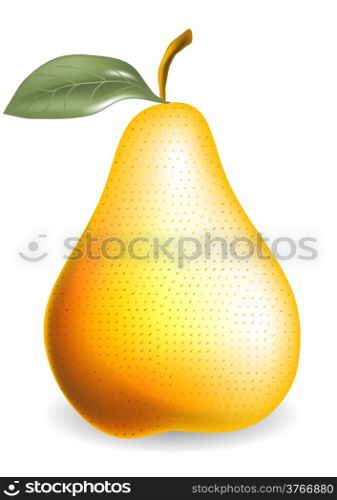 pear on a white background. 10 EPS