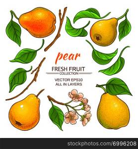 pear plant elements set on white background. pear elements set