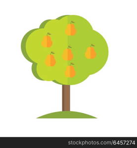 Pear tree with fruits icon. Vector illustration in flat style design. Plant pattern for environment, gardening, farming, business growing concepts. Isolated on white background. . Pear Tree vector illustration in flat style design.