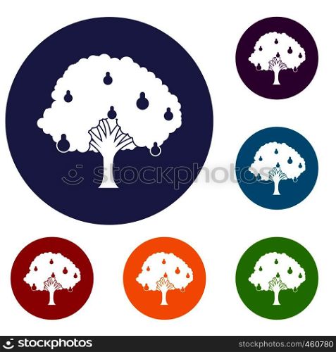 Pear tree with pears icons set in flat circle reb, blue and green color for web. Pear tree with pears icons set