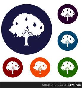 Pear tree with pears icons set in flat circle reb, blue and green color for web. Pear tree with pears icons set