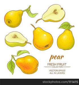pear vector set. fresh pears vector set on white background