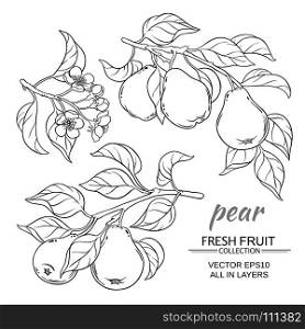 pear vector set. pear branches vector set on white background