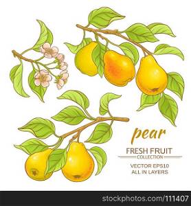 pear vector set. pear branches vector set on white background