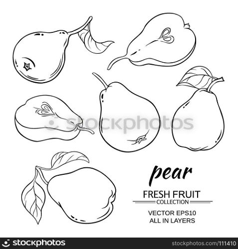 pear vector set. set of vector pears on white background
