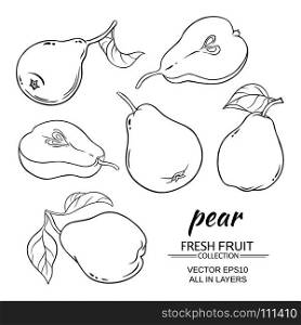 pear vector set. set of vector pears on white background