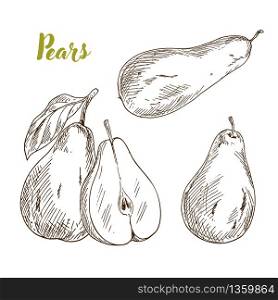 Pears, hand drawn sketch vector illustration