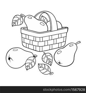 Pears in basket. Cartoon vector hand drawn abstract illustration. Pears in basket. Cartoon vector illustration