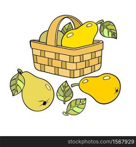 Pears in basket. Cartoon vector hand drawn abstract illustration. Pears in basket. Cartoon vector illustration