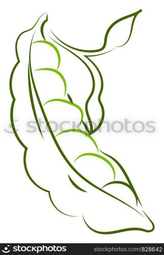 Peas drawing, illustration, vector on white background.