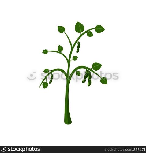 Peas plant icon. Flat illustration of peas plant vector icon for web isolated on white. Peas plant icon, flat style