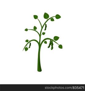 Peas plant icon. Flat illustration of peas plant vector icon for web isolated on white. Peas plant icon, flat style