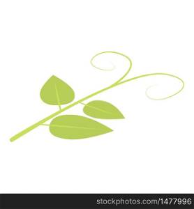 Peas plant icon. Isometric of peas plant vector icon for web design isolated on white background. Peas plant icon, isometric style