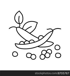 peas pod seed grain line icon vector. peas pod seed grain sign. isolated contour symbol black illustration. peas pod seed grain line icon vector illustration