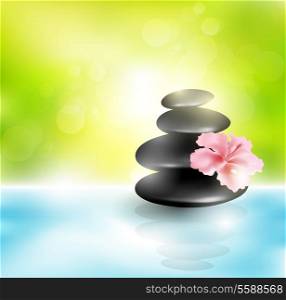 Pebbles In Water With Flower And Sunlight