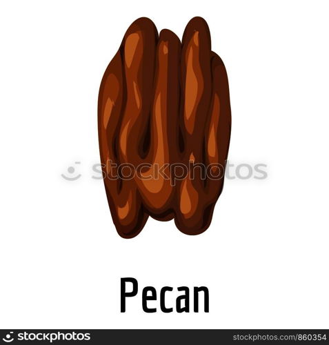 Pecan icon. Cartoon of pecan vector icon for web design isolated on white background. Pecan icon, cartoon style