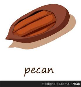 Pecan icon. Isometric illustration of pecan vector icon for web. Pecan icon, isometric 3d style