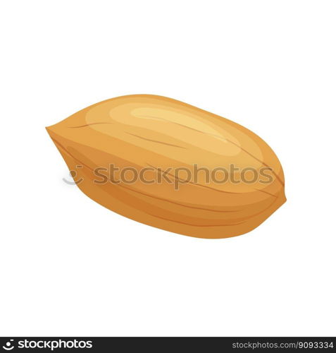 pecan nut food cartoon. healthy organic, natural snack, ingredient, seed nature, vegetarian brown, diet fat, raw shelled pecan nut food vector illustration. pecan nut food cartoon vector illustration