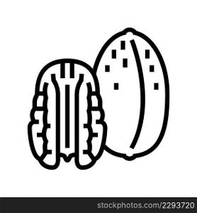 pecan nut line icon vector. pecan nut sign. isolated contour symbol black illustration. pecan nut line icon vector illustration