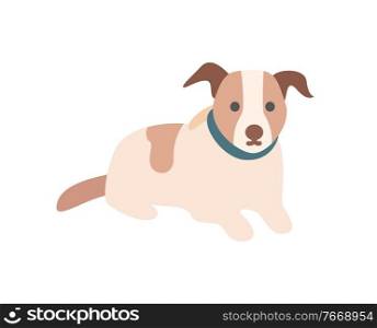 Pedigree dog sitting on floor, portrait view of pet character in collar, domestic animal with brown spotted, canine decoration in flat design style vector. Domestic Dog, Pet Sitting on Floor, Animal Vector