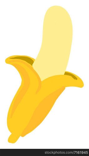 Peeled banana, illustration, vector on white background.