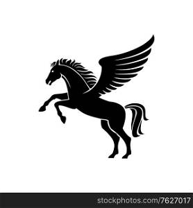 Pegasus winged stallion isolated mythical animal. Vector silhouette of heraldry horse with mane. Heraldry horse with wings isolated pegasus