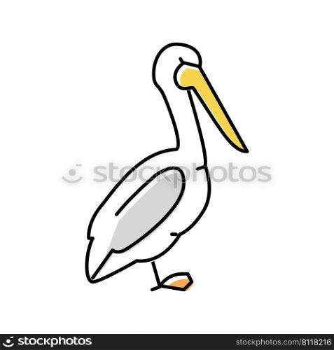 pelican bird color icon vector. pelican bird sign. isolated symbol illustration. pelican bird color icon vector illustration