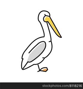pelican bird color icon vector. pelican bird sign. isolated symbol illustration. pelican bird color icon vector illustration