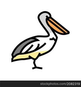 pelican wild bird color icon vector. pelican wild bird sign. isolated symbol illustration. pelican wild bird color icon vector illustration
