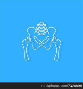 pelvic bone on blue background