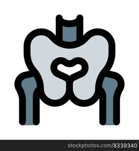 Pelvis also called bony pelvis or pelvic girdle, in human anatomy,