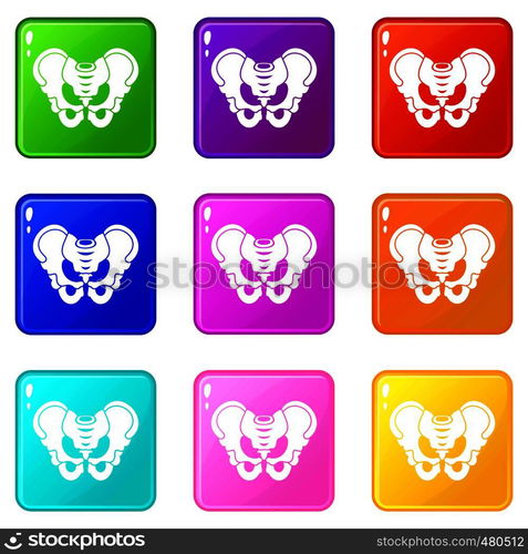 Pelvis icons of 9 color set isolated vector illustration. Pelvis set 9