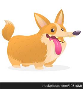 Pembroke Welsh Corgi Dog cartoon. Vector illustration of a cute doggy with long tongue. Design for print or sticker
