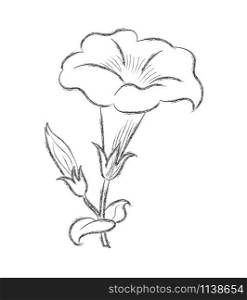 Pencil sketch of the silhouette of a flower with petals. A Doodle-style outline is isolated on a white background. Flat design for postcards, coloring, scrapbooking and decoration.