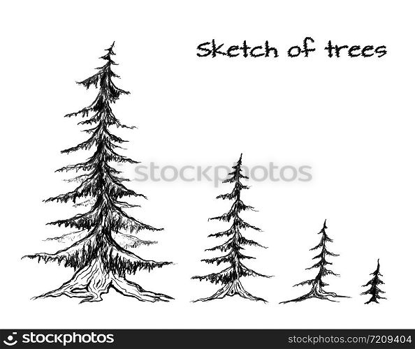 Pencil sketch of trees of different sizes. Vector element for your design. Pencil sketch of trees of different sizes. Vector element for yo