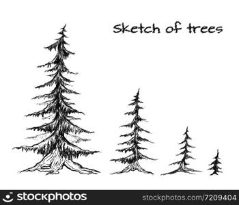 Pencil sketch of trees of different sizes. Vector element for your design. Pencil sketch of trees of different sizes. Vector element for yo