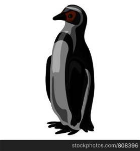 Penguin icon. Cartoon of penguin vector icon for web design isolated on white background. Penguin icon, cartoon style