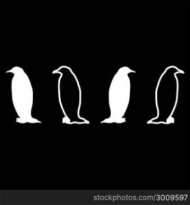 Penguin icon set white color vector illustration flat style simple image