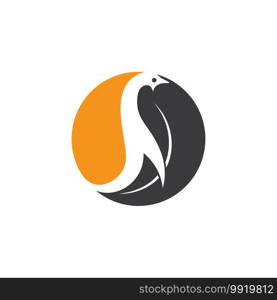 penguin icon vector illustration design template web