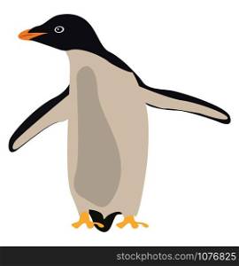 Penguin, illustration, vector on white background.
