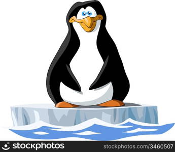 Penguin on a white background, vector illustration