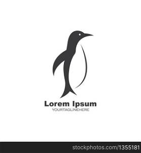 penguin vector illustration design template