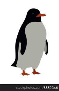 Penguins Isolated. Aquatic, Flightless Bird. Penguins isolated on white. Aquatic, flightless bird living in Southern Hemisphere, in Antarctica. Has countershaded dark and white plumage, wings evolved into flippers. Sticker for children. Vector