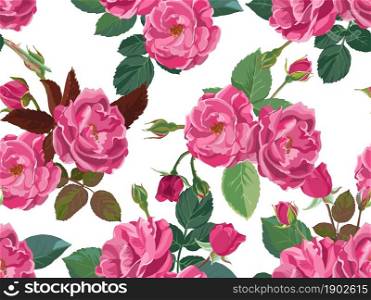 Peonies and roses in blossom, summertime and springtime decoration or background for greeting cards. Botanical flora and composition with flourishing. Seamless pattern, vector in flat style. Pink roses or peonies in blossom seamless pattern