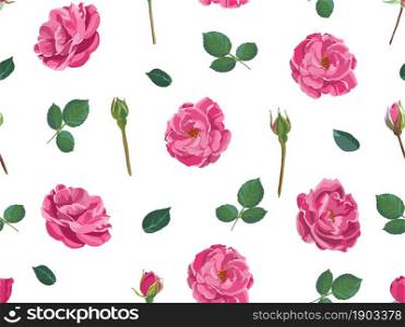 Peonies or roses flowers in blossom, decorative wallpaper or background with blooming flora. Plants with flourishing and stems, buds and leaves. Lush foliage florist composition. Vector in flat style. Roses or peonies, stems and leaves pattern print